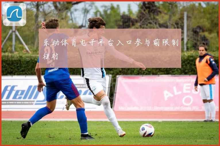 乐动体育电子平台入口参与前限制核对