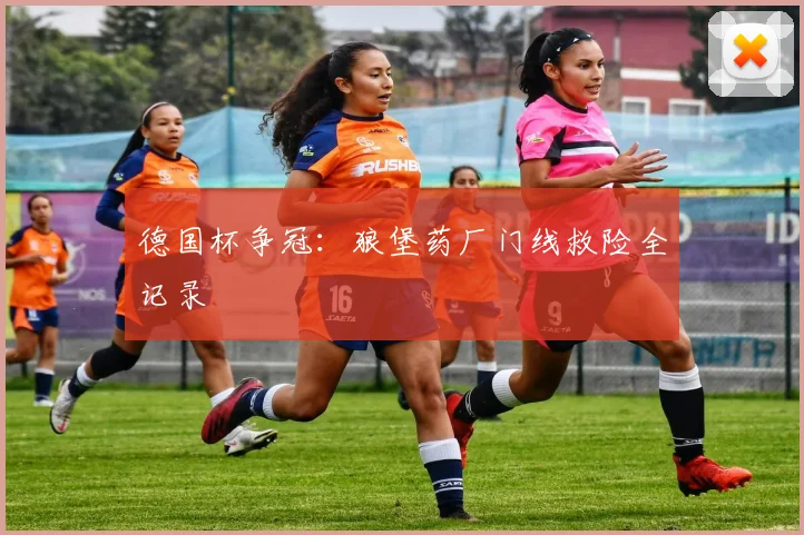 德国杯争冠：狼堡药厂门线救险全记录