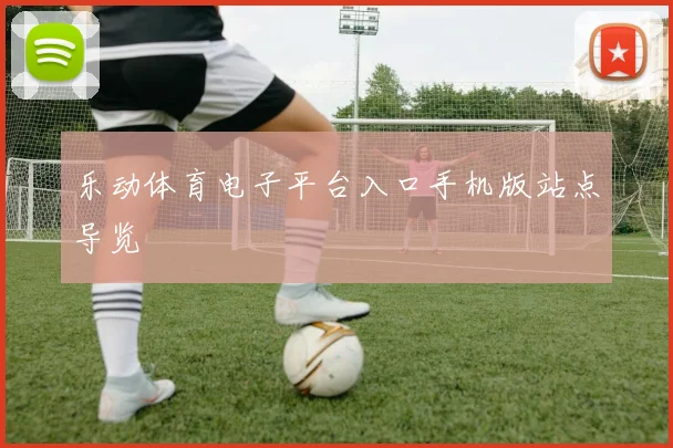 乐动体育电子平台入口手机版站点导览