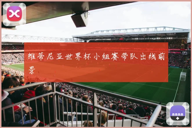 维蒂尼亚世界杯小组赛带队出线前景