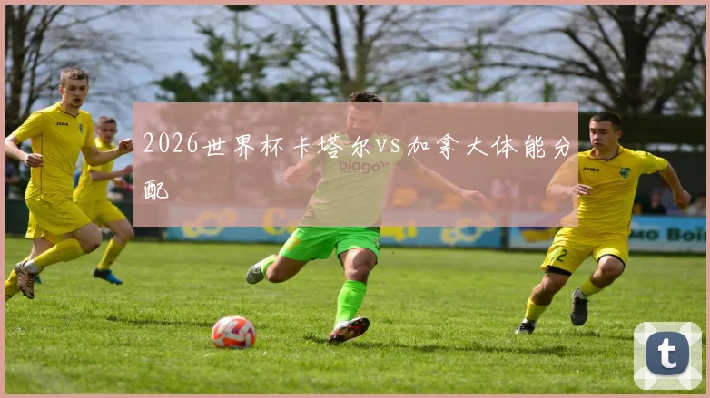 2026世界杯卡塔尔vs加拿大体能分配