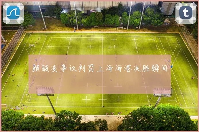 颜骏凌争议判罚上海海港决胜瞬间