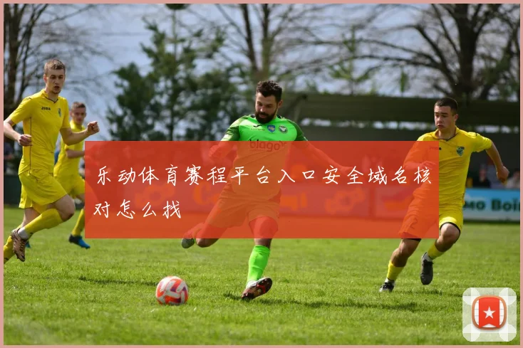 乐动体育赛程平台入口安全域名核对怎么找
