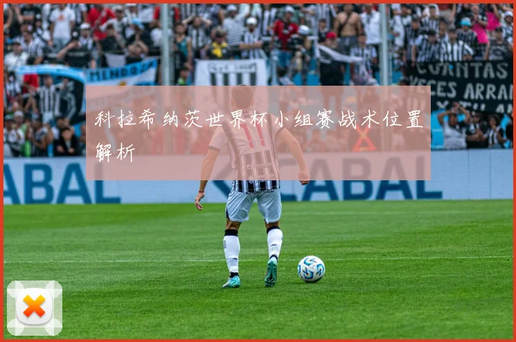 科拉希纳茨世界杯小组赛战术位置解析