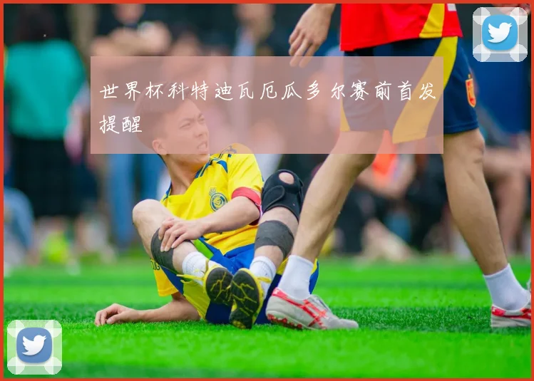 世界杯科特迪瓦厄瓜多尔赛前首发提醒