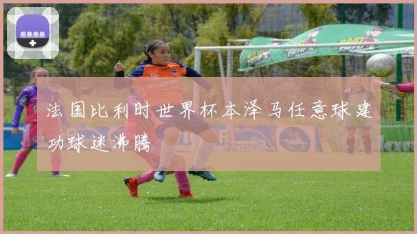法国比利时世界杯本泽马任意球建功球迷沸腾