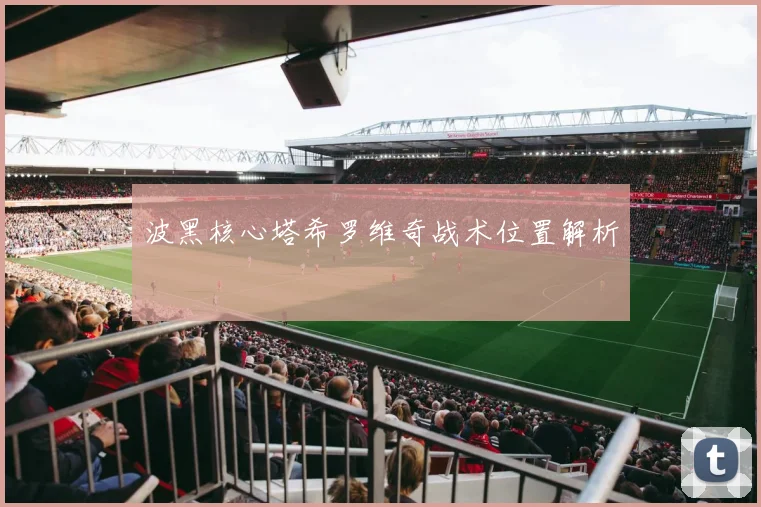 波黑核心塔希罗维奇战术位置解析