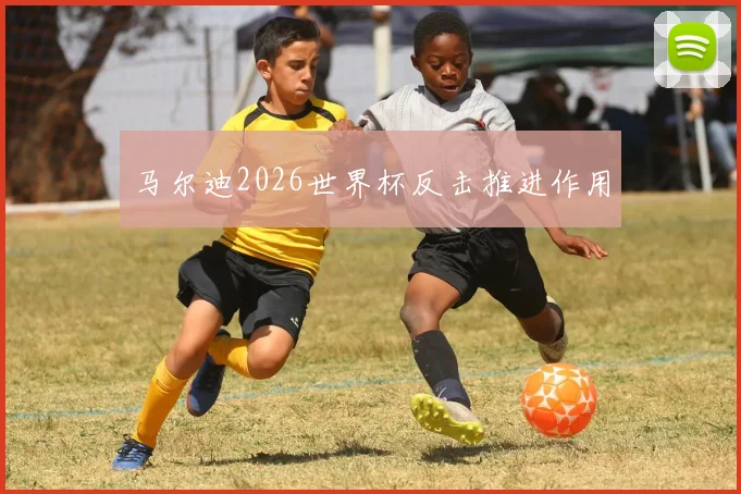 马尔迪2026世界杯反击推进作用